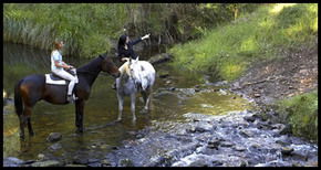 Glenworth Valley Horseriding - Accommodation Main Beach 1
