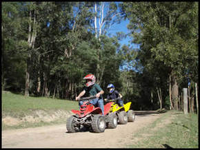 Glenworth Valley Horseriding - Accommodation Main Beach 3