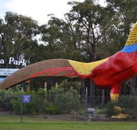 Gumbuya Park - Accommodation Main Beach