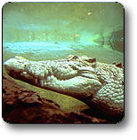 Kakadu National Park - Accommodation Main Beach 1