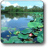 Kakadu National Park - Accommodation Main Beach 3