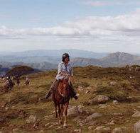 High Country Horses - Accommodation Main Beach