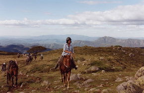 High Country Horses - Accommodation Main Beach 0