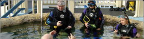 Scuba World - Accommodation Main Beach 2
