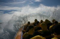 Jetboating Sydney - Accommodation Main Beach 1