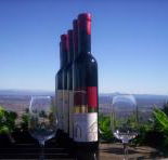 Mount Tamborine Winery  Homestead - Accommodation Main Beach
