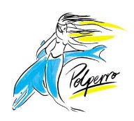 Polperro Dolphin Swims - Accommodation Main Beach 0