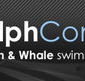 Dolphcom - Dolphin  Whale Swimming Adventures - Accommodation Main Beach