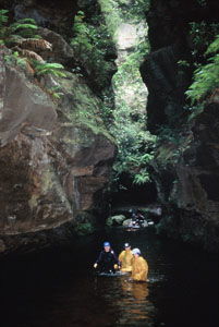 High And Wild Mountain Adventures - Accommodation Main Beach 1