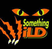 Something Wild - Accommodation Main Beach