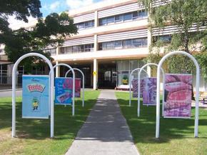 Cadbury Chocolate Factory Tour - Accommodation Main Beach 2