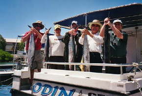 Sea Master Fishing Charters - Accommodation Main Beach 1