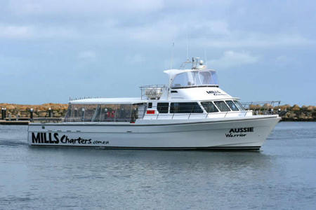 Mills Charters Fishing And Whale Watch Cruises - Accommodation Main Beach 1