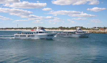 Mills Charters Fishing And Whale Watch Cruises - Accommodation Main Beach 2