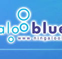 Ningaloo Blue Dive - Accommodation Main Beach