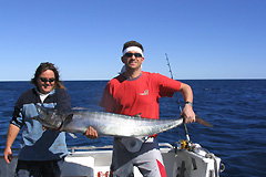 Ningaloo Blue Dive - Accommodation Main Beach 3