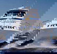 Sunshine Coast Fishing Charters - Accommodation Main Beach