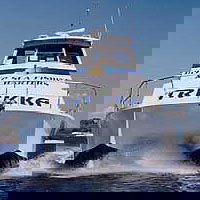 Sunshine Coast Fishing Charters - Accommodation Main Beach 0