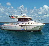 Sunshine Coast Fishing Charters - Accommodation Main Beach 1