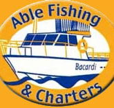 Able Fishing Charters - Accommodation Main Beach