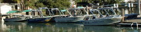 Brooklyn Central Boat Hire & General Store - Accommodation Main Beach 1