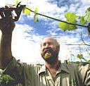 Barossa Experience Tours - Accommodation Main Beach