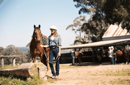 Watsons Trail Rides - Accommodation Main Beach