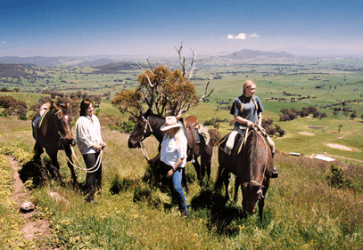 Watsons Trail Rides - Accommodation Main Beach 2