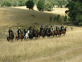 McCormacks Mountain Valley Trail Rides - Accommodation Main Beach