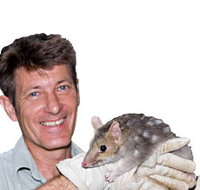 Geckoes Wildlife Presentations - Accommodation Main Beach