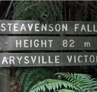 Stevensons Falls - Accommodation Main Beach