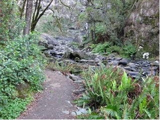 Stevensons Falls - Accommodation Main Beach 1