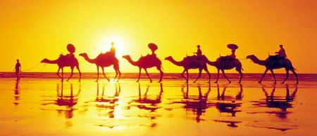 Banksia Adventures - Accommodation Main Beach 1