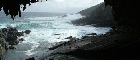 Banksia Adventures - Accommodation Main Beach 2