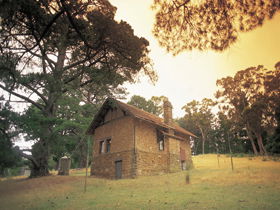 Heysen - The Cedars - Accommodation Main Beach 0