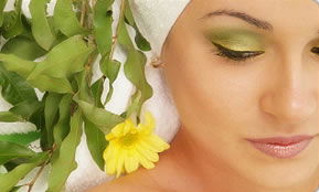 Indica Spa - Accommodation Main Beach 1