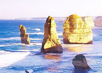 Bunyip Tours - Accommodation Main Beach 3