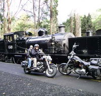 Andy's Harley Rides - Accommodation Main Beach