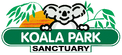 Koala Park Sanctuary - Accommodation Main Beach