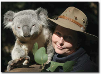 Koala Park Sanctuary - Accommodation Main Beach 2