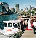 Bay & River Cruises - Accommodation Main Beach 0