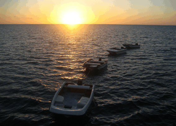 Carlo Fishing Charters - Accommodation Main Beach 2