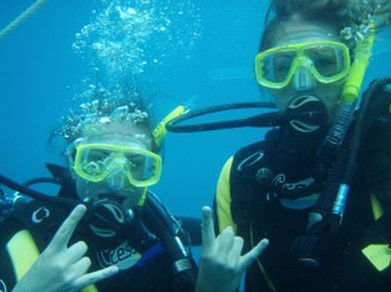 Snorkel Safari Brisbane - Accommodation Main Beach 5