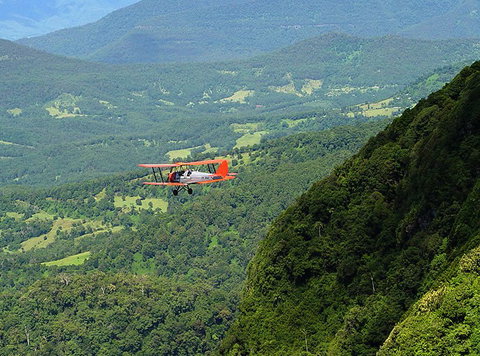 Tigermoth Joy Rides - Accommodation Main Beach 4