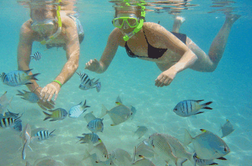 Australian Kayaking Adventures - Accommodation Main Beach 2