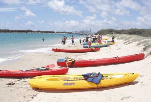 Australian Kayaking Adventures - Accommodation Main Beach 3