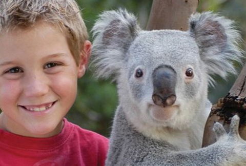 Featherdale Wildlife Park - Accommodation Main Beach 1