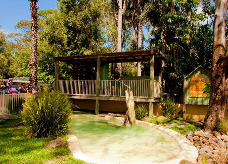 Featherdale Wildlife Park - Accommodation Main Beach 2