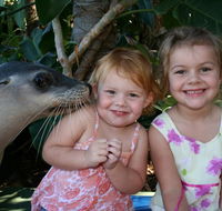 Dolphin Marine Magic - Accommodation Main Beach