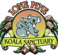Lone Pine Koala Sanctuary - Accommodation Main Beach